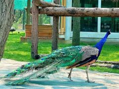 -南戴河国际娱乐中心