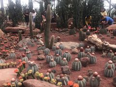 -南通洲际绿博园