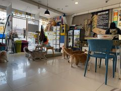 -平行世界·猫咖(首经贸店)