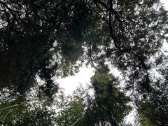-趵突泉景区