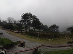 -铁山坪森林公园