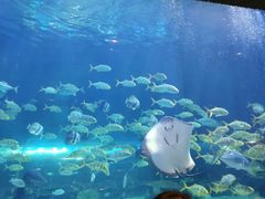 -华夏文旅海洋公园