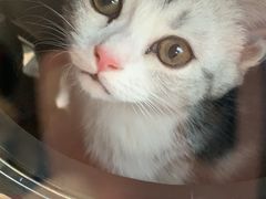 -Goku PET SHOP宠物视觉生活馆(双井店)