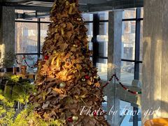 -腾爱熊猫咖啡生活馆(老东门店)