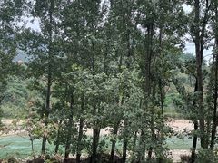 -天津东丽湖风景区