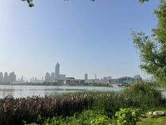 -月湖风景区