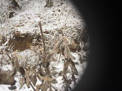 -太子岭滑雪场