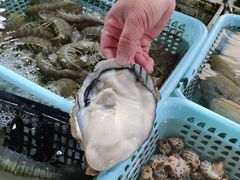 -南沙十九涌渔人码头-南门