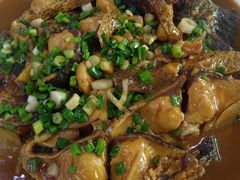 -全乐鱼馆·淳牌有机鱼直营店