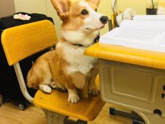 -韩通韩国语学院(虹口校区)