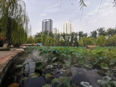 -咸阳湖景区