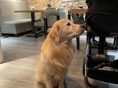 -LA CREPERIE BRETONNE布列塔尼法式餐厅(天童北路店)