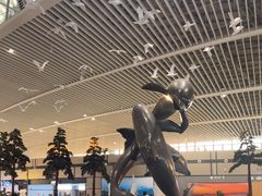 -青岛胶东国际机场