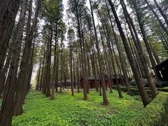 -泗洪洪泽湖湿地景区