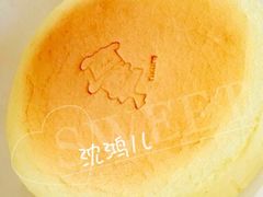 -瑞可爷爷的店(铁东店)