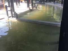 -三江森林温泉度假区