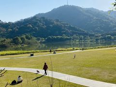 -风云岭森林公园