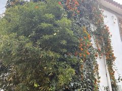 -黑龙潭公园