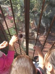 -萌宠亲子动物乐园(槐房万达店)