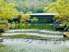 -云溪植物园
