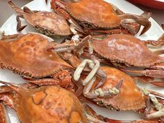 -山海菜馆·海肠捞饭·青岛菜(栈桥店)
