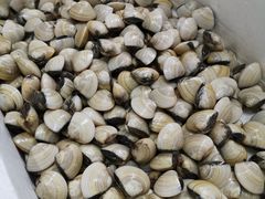 -蚝专家(北滘店)
