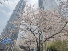 -上海环球金融中心骑迹50年环球之旅