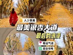 -海窝子古镇