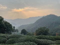 -西湖风景区十里琅珰-五云山