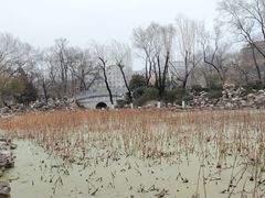 -莲湖公园