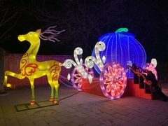 -南宫五洲植物乐园