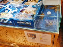-叁宝烤肉• 西安烧烤 领跑品牌(曹家堡店)