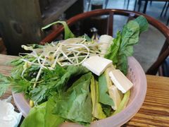 -马帮菜馆·美味野生菌