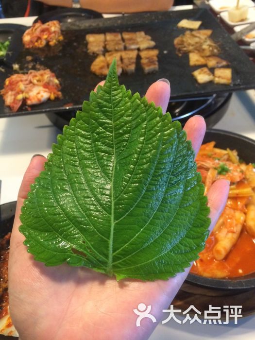 八色烤肉苏子叶图片 - 第5张