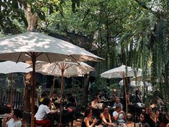 -Fern Forest Cafe