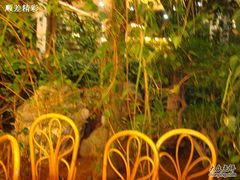  DSC00397-绿色时代大酒店