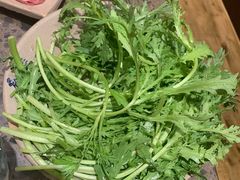 茼蒿-小龙坎火锅(黄河店)