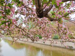 -海棠花溪(元大都城垣遗址公园)