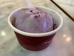 蓝莓冰淇淋-哈根达斯(泉州万达店)