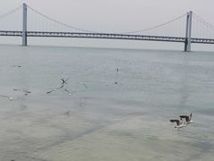 -星海广场