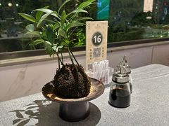 -晋江荣誉国际酒店·港誉茶餐厅