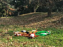 -西安秦岭野生动物园