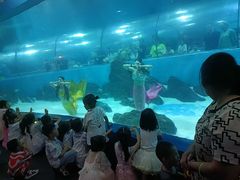 -苏州海洋馆