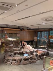 -造物庄园 萌宠纪(苏州湾歌林公园店)