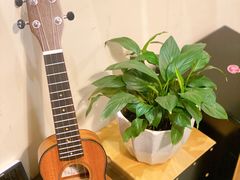 -WithU悠弦时光·尤克里里之家ukulele(宽窄巷子店)