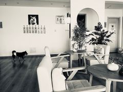 -柴犬小屋·柴餐厅·狗咖食堂(金鼎广场店)