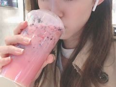 -野萃山·潮汕厚果汁(十亩地店)