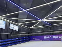 -Hopo Snow 城市滑雪空间(来福士广场购物中心店)