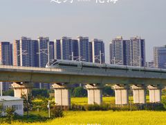 -光明小镇欢乐田园
