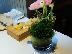 -蝶舍·MAISON PAPILLON